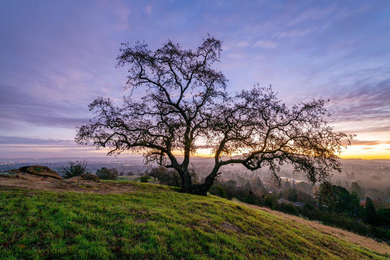 Walnut Creek