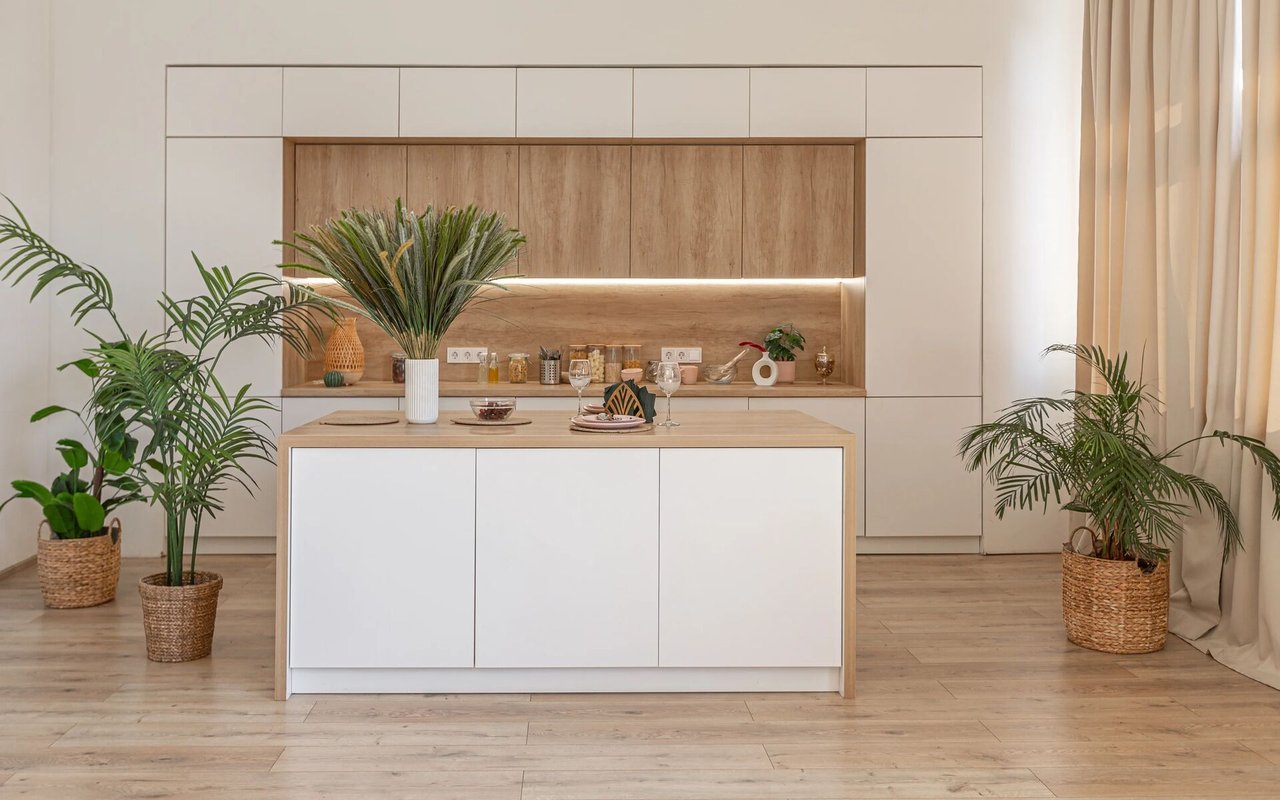 Indoor Plants Anyone Can Grow This Winter