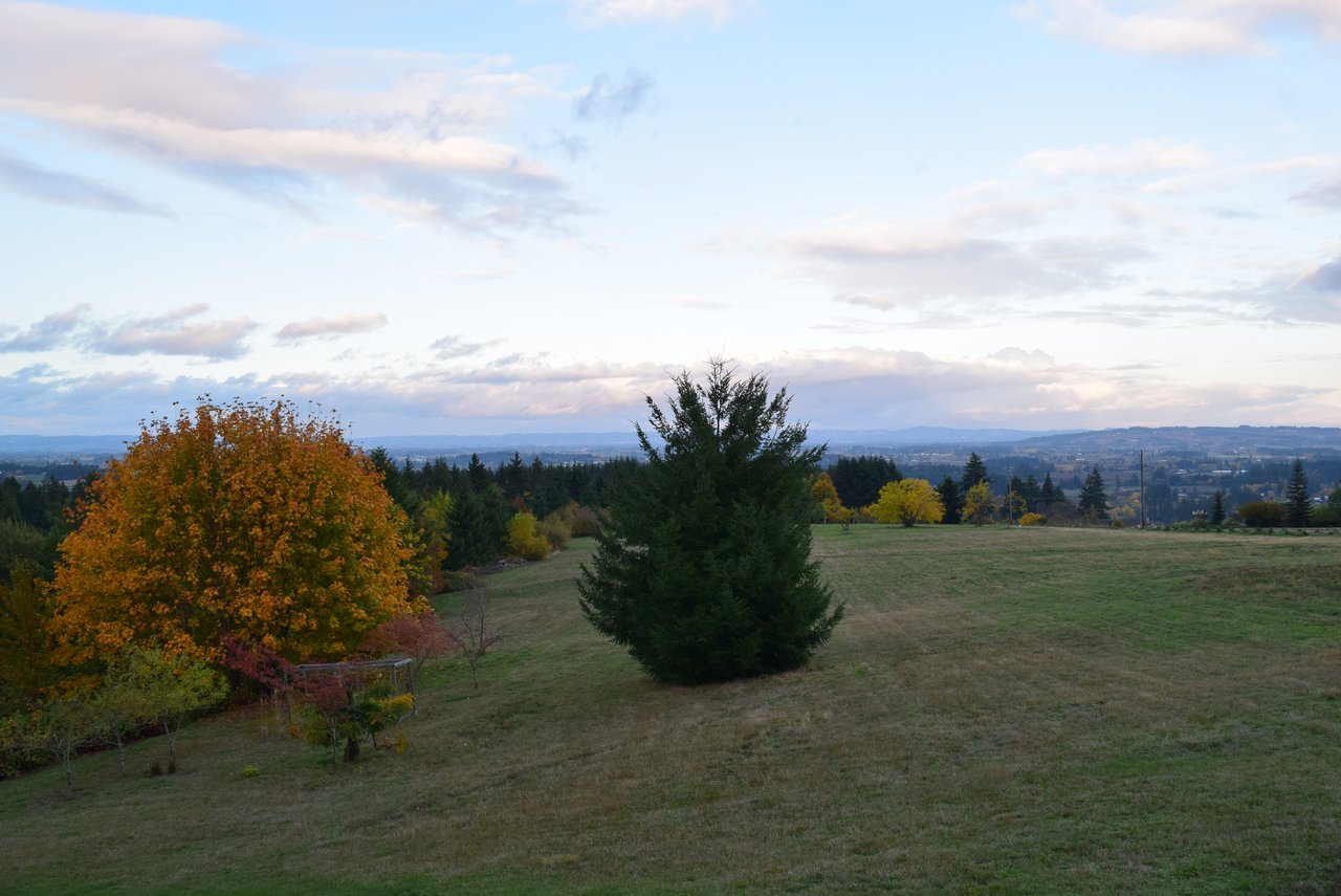 33399 SW BALD PEAK RD