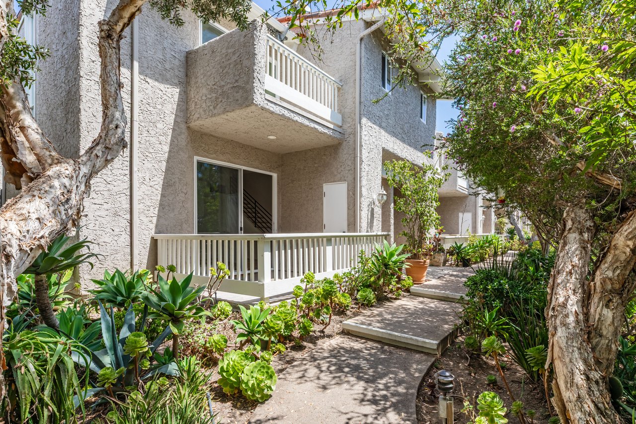 28368 Rey De Copas Ln