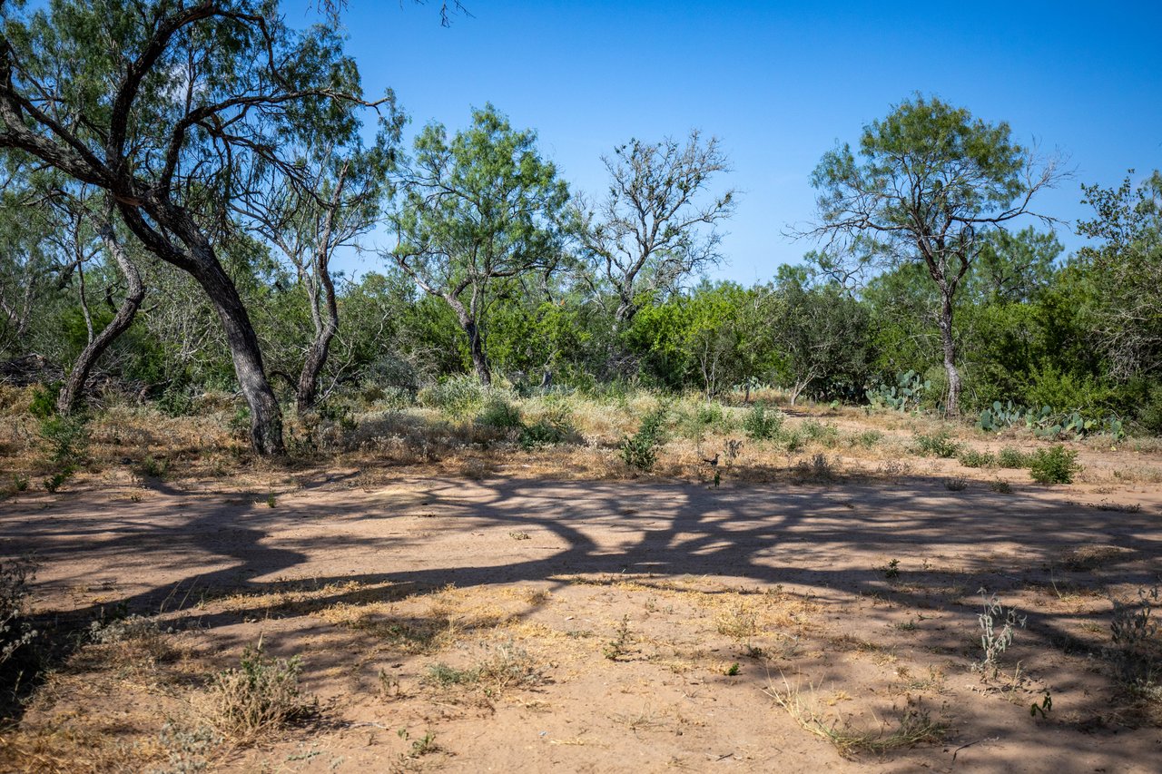 Oaks, Wildlife, & the Quiet of the Countryside | 26.99± Acres | Poteet, TX