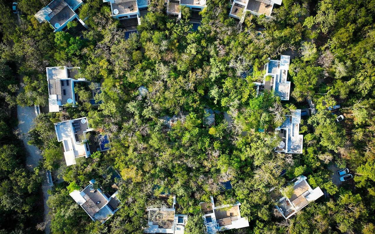 Find Your Dream Home With the Best Real Estate Agency in Tulum