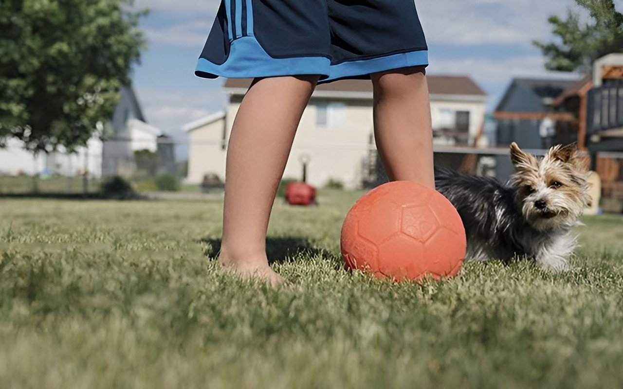 Two New Surveys Indicate Urban to Suburban Leanage