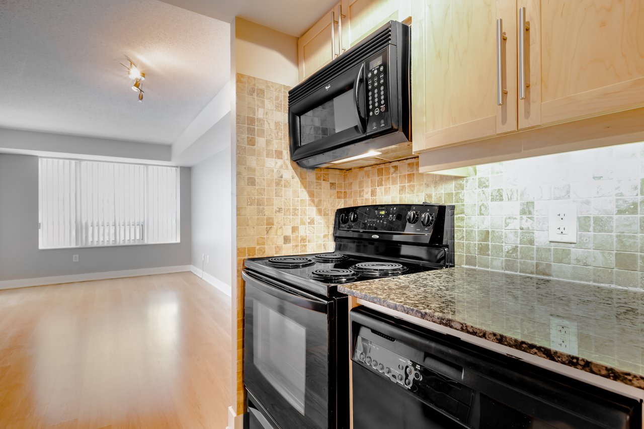 20 Blue Jays Way Unit 1705