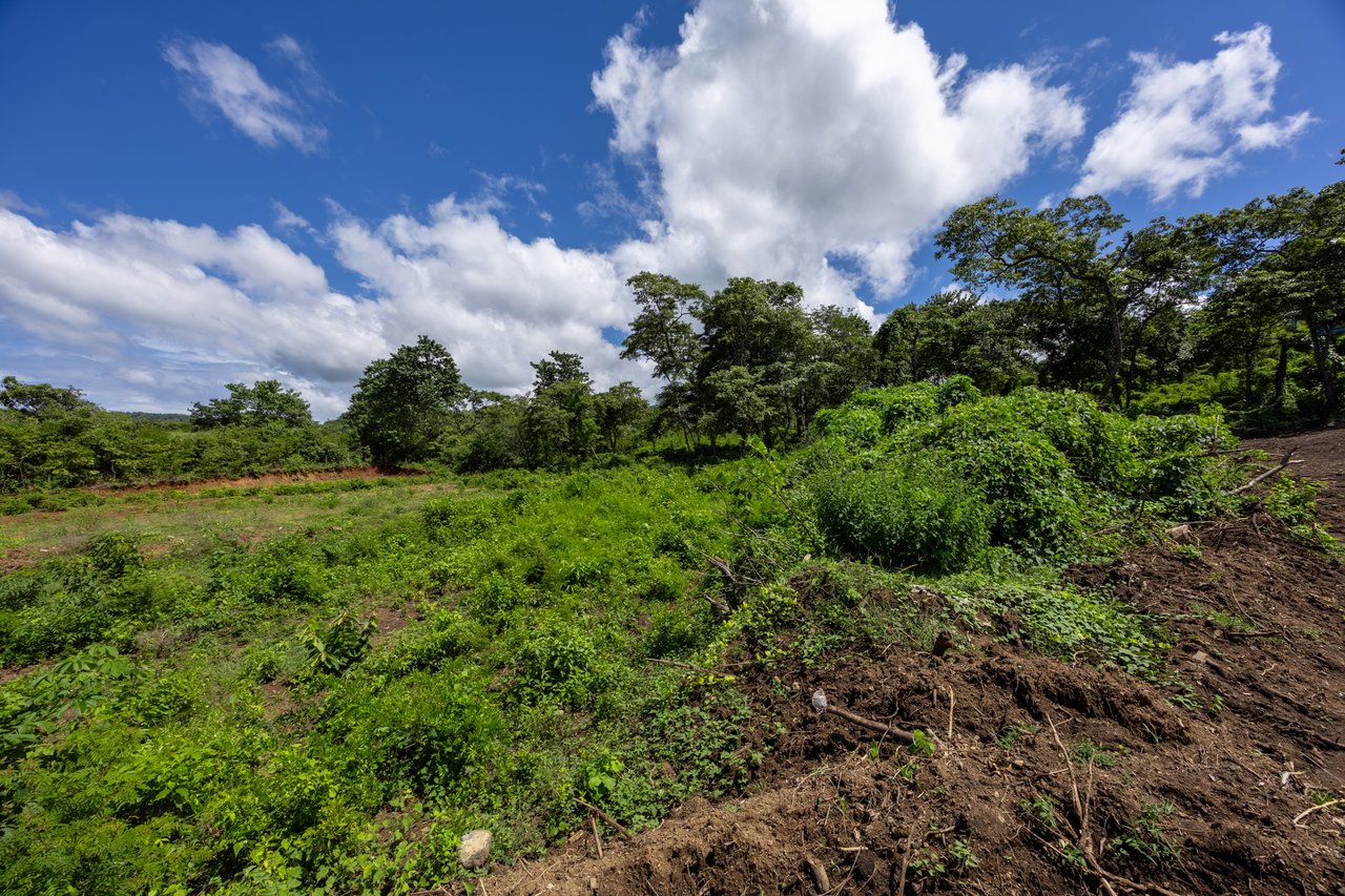 Lot Norte – Potrero | 5,000 m² Flat Build-Ready Lot Near the Beach