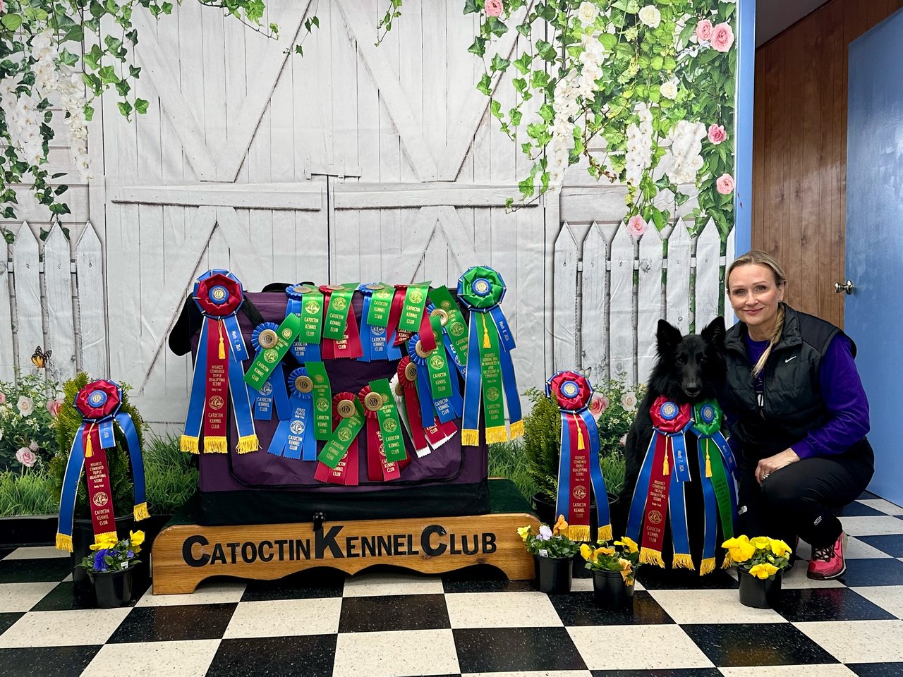 The Life of a Show Dog