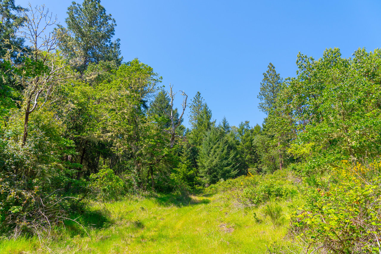 SUTHERLIN HEIGHTS