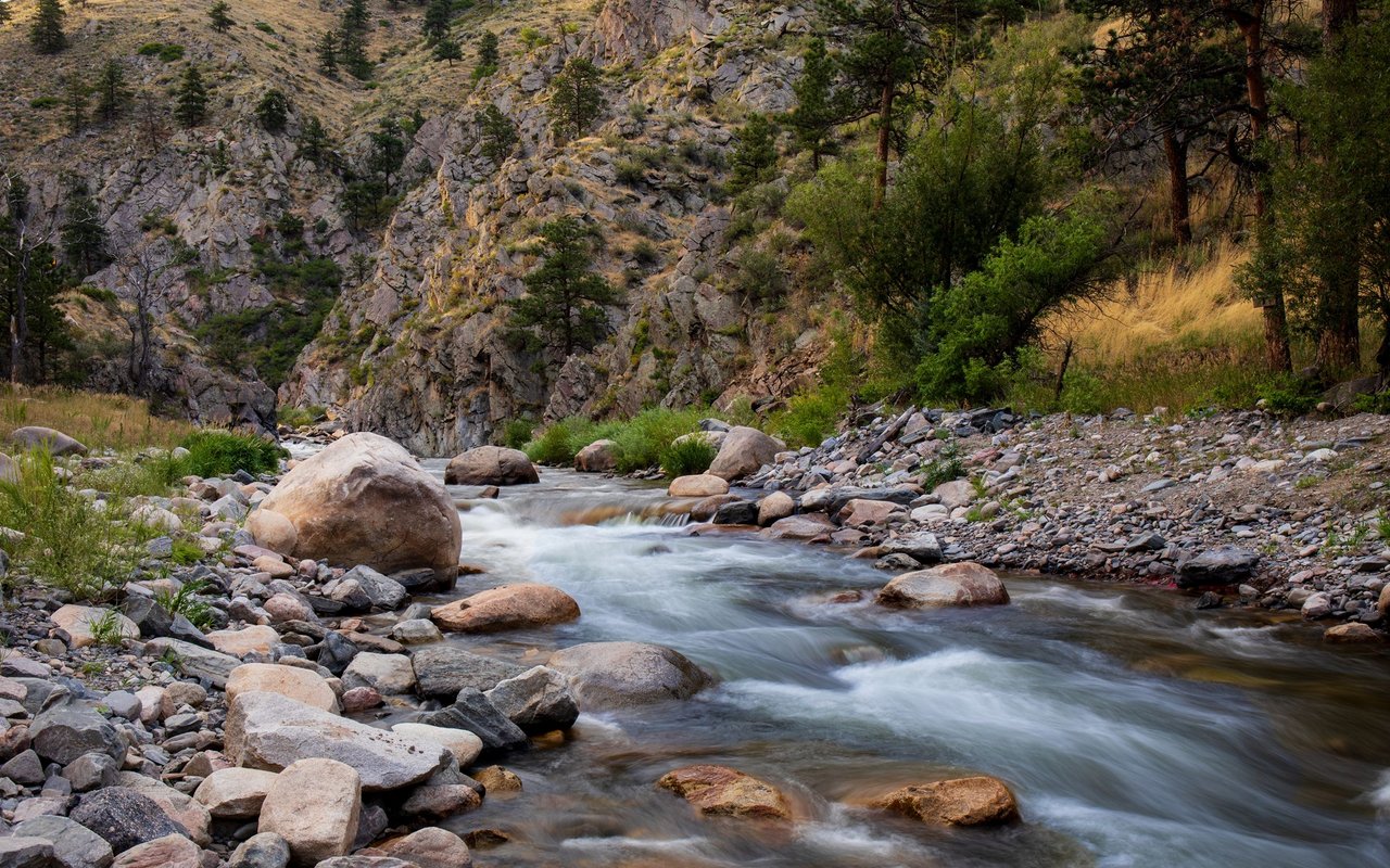 Rocky mountain stream flowing around boulders beneath pine-covered slopes