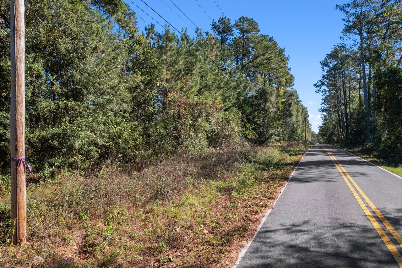 Straight rural road lined with tall trees, under a clear blue sky. A wooden utility pole with a purple ribbon stands on the left, conveying a peaceful, serene scene.