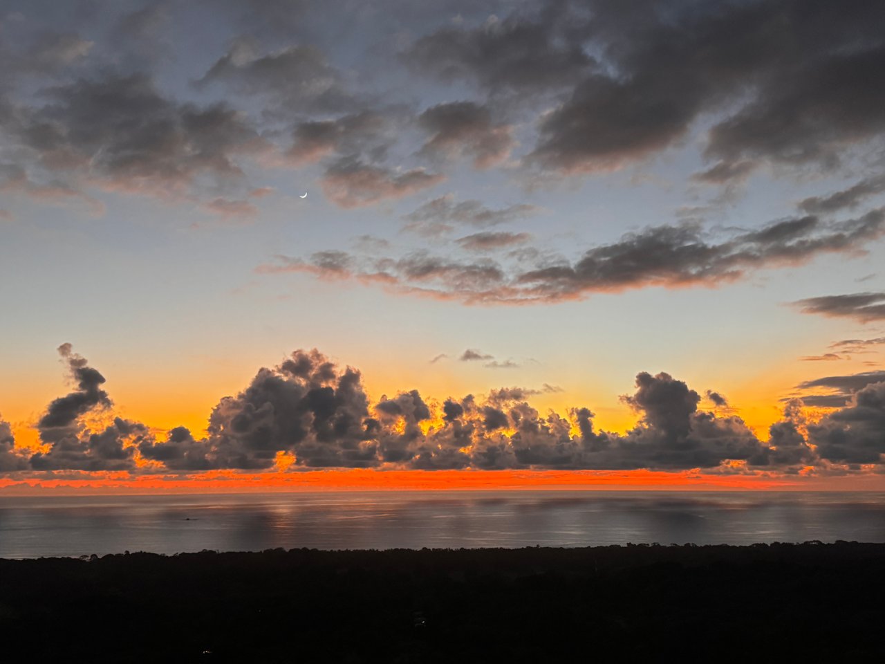 A Unique Ocean View Estate Designed for Visionary Investors