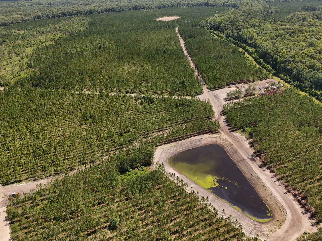 Saddletree at EverRange featuring natural preserves and future development