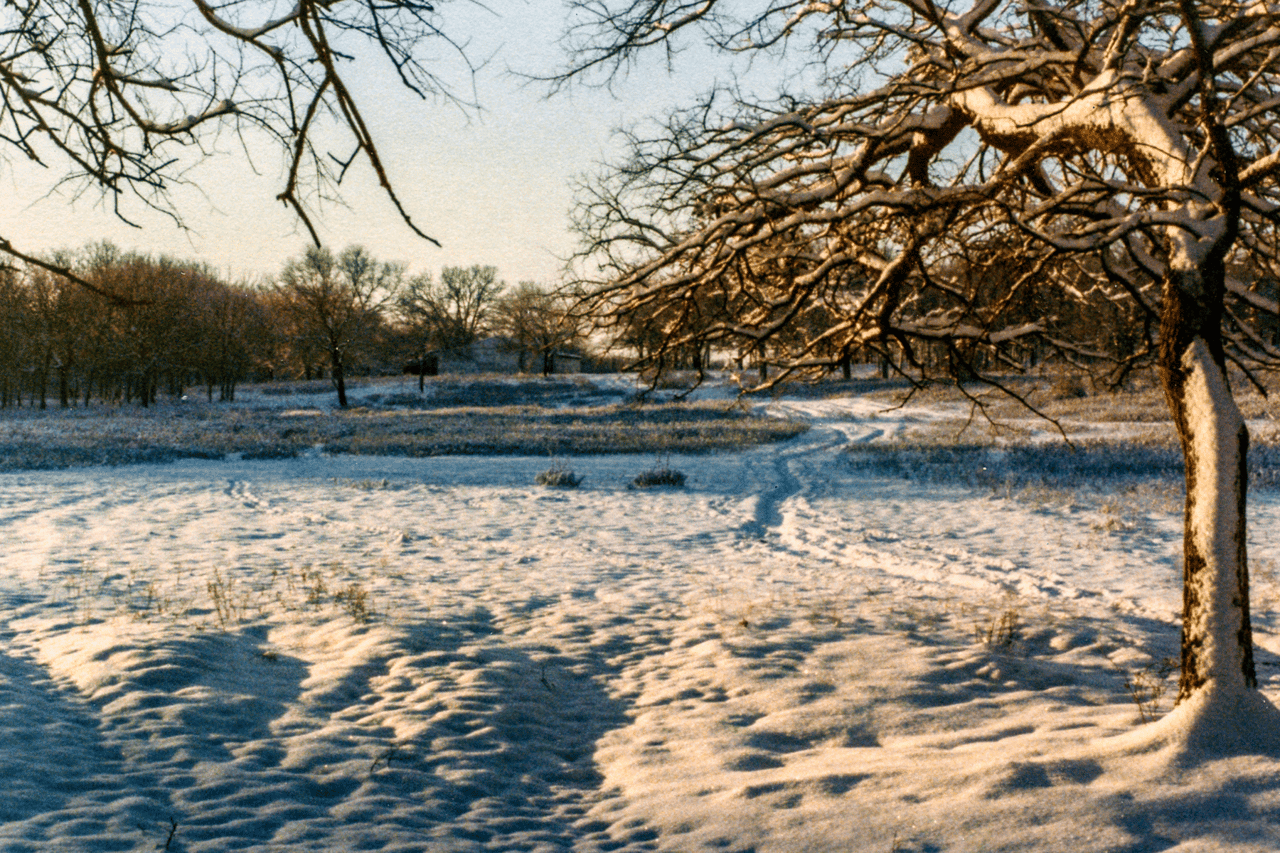 DIY Winterizing Your Austin Home: A Checklist for Winter Freeze Preparedness