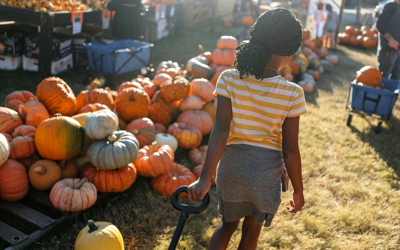 Can't-Miss Fall Events in Beverly Hills