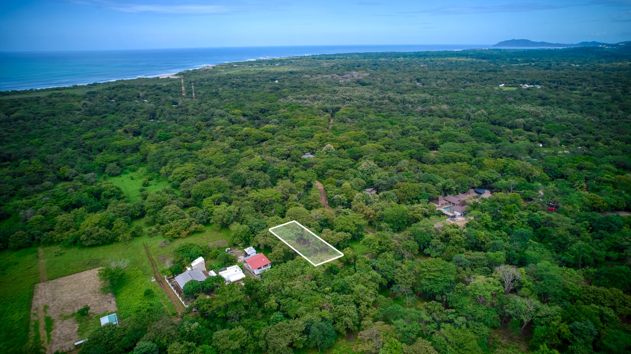 Prime Lot on Public Road | Ready for Construction in Playa Avellanas