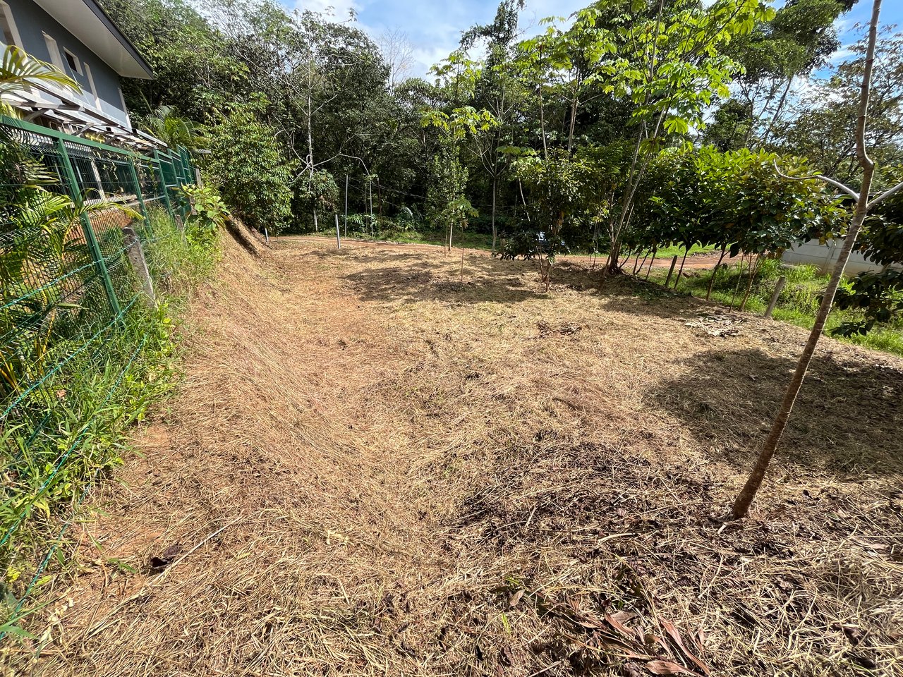 Affordable Uvita Lot UNDER $200-per-sqm - Perfect for Your Dream Home or Airbnb Investment