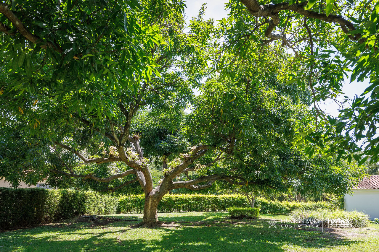 21575 - One level home with almost 3,000sqm of land in Bosques de Lindora