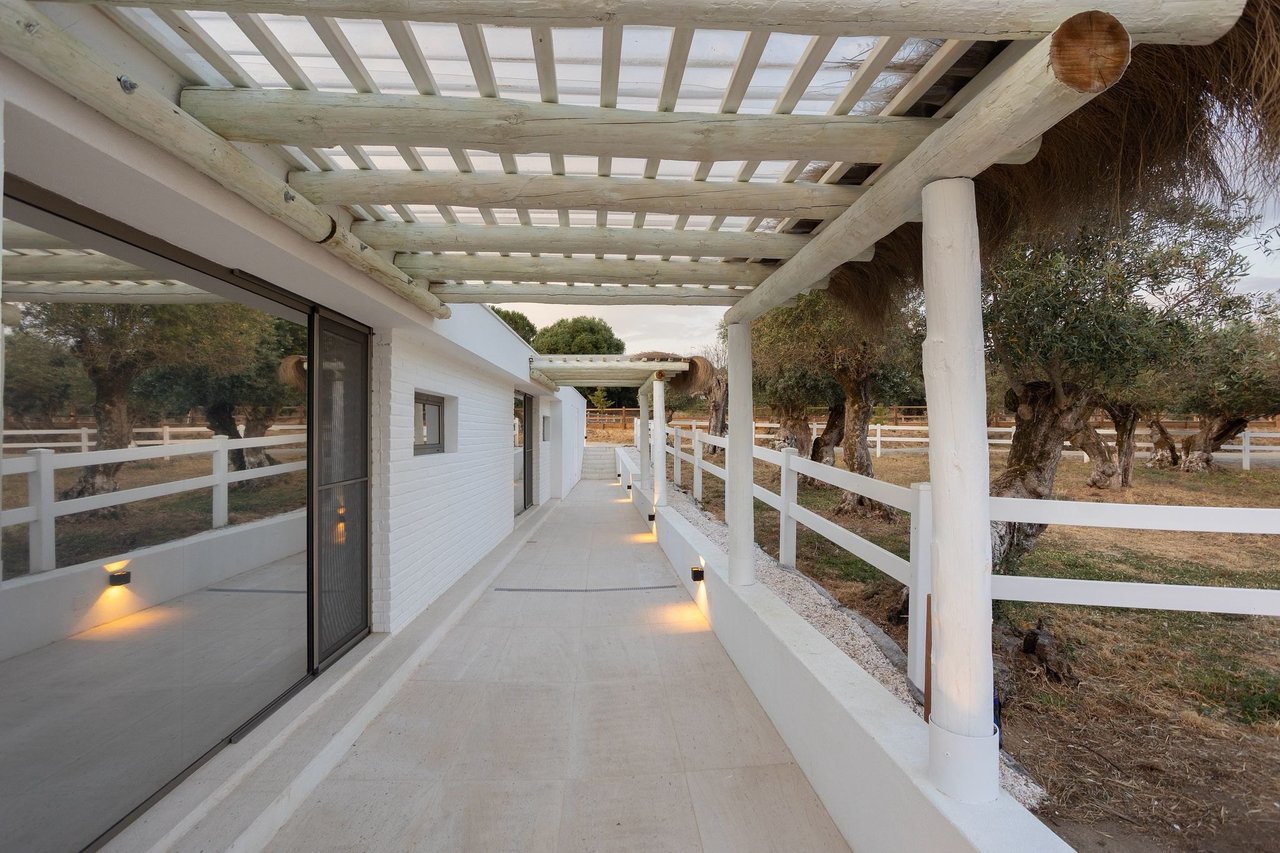 Magnificent and Grand Equestrian Estate in the Alentejo