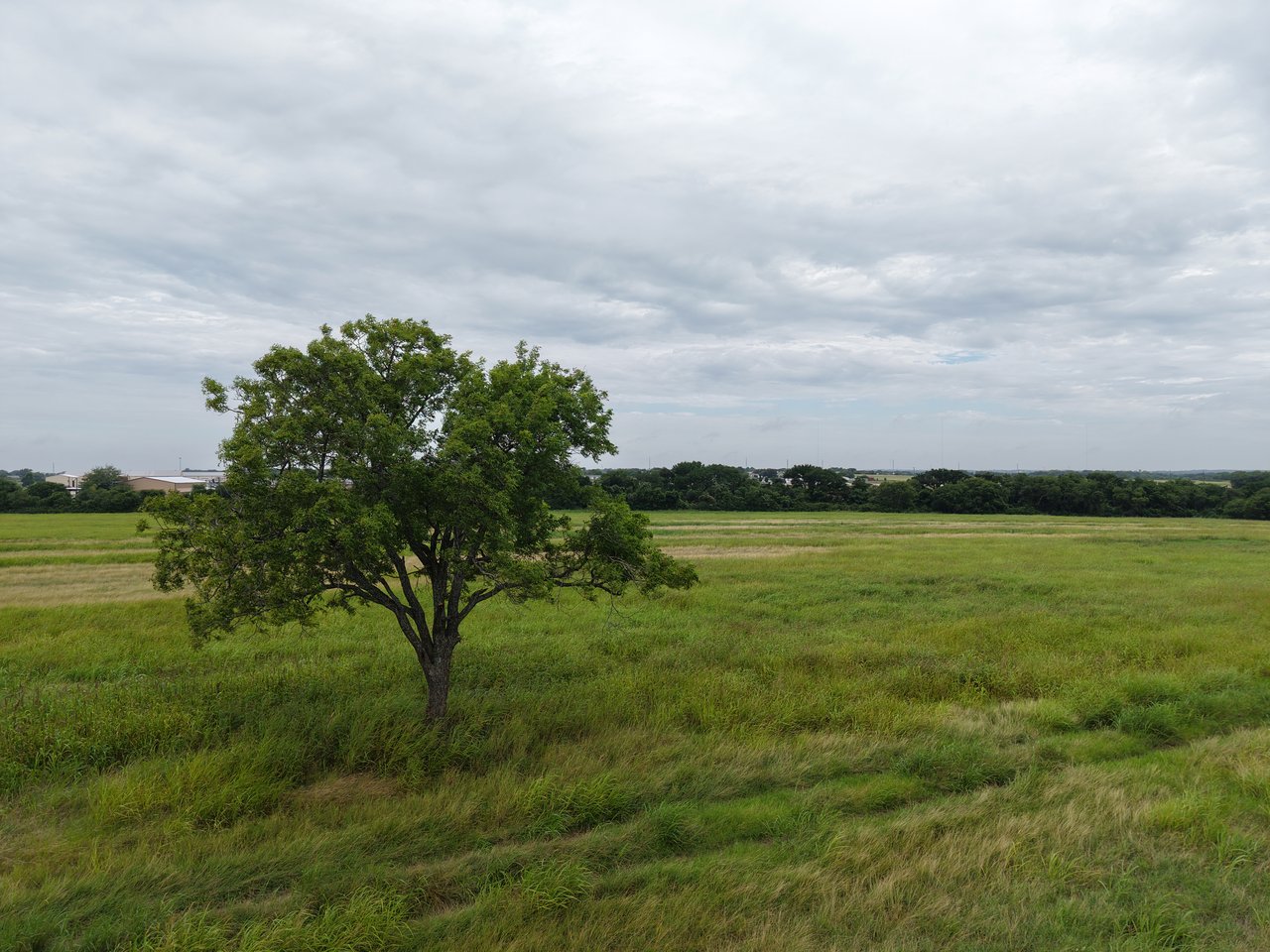 137+ Acres of Land in Troy