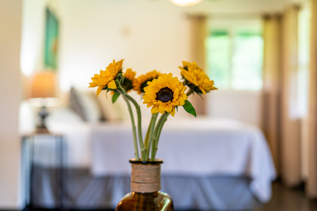 The Green Pineapple Estate