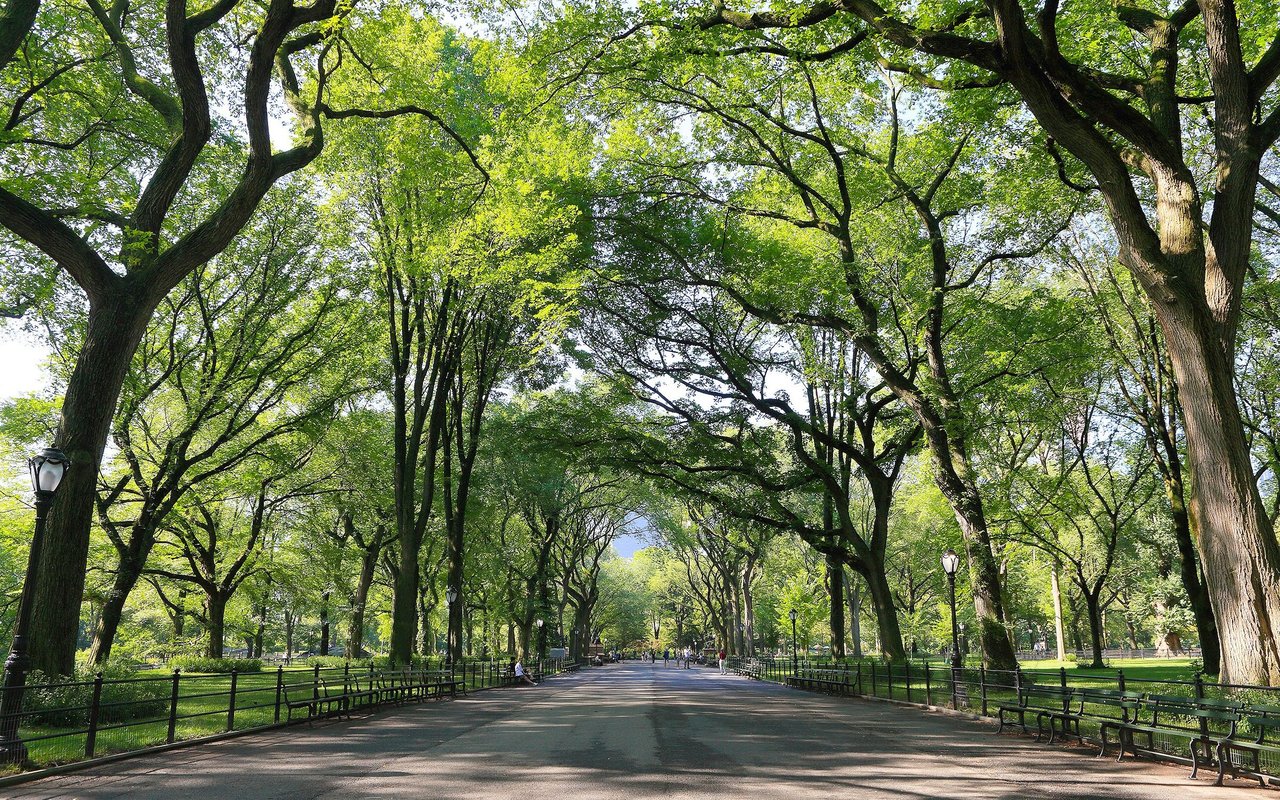 Forest Heights