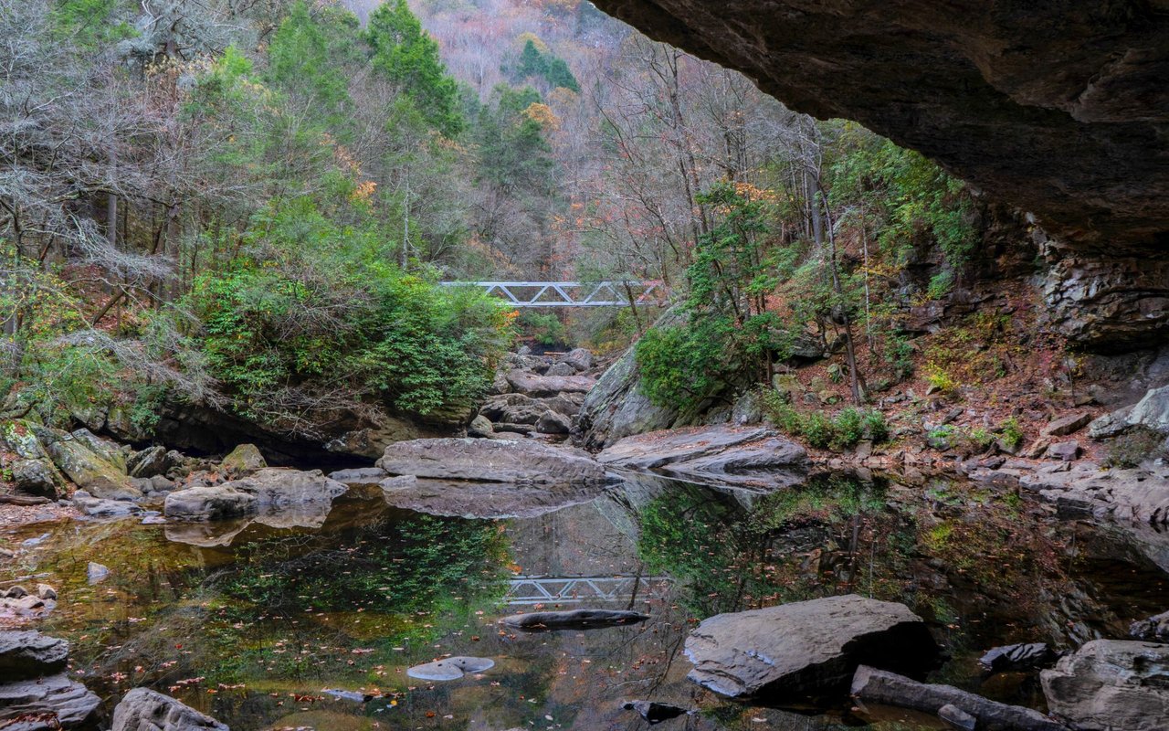 Soddy-Daisy