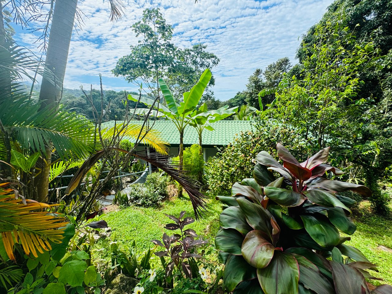 Downtown Uvita Commercial Room Rentals with Restaurant