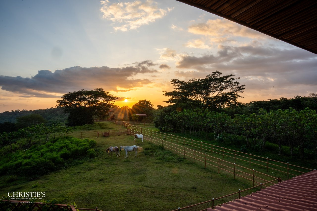 Finca Sweet Prince – A Private Equestrian Estate of Unmatched Elegance