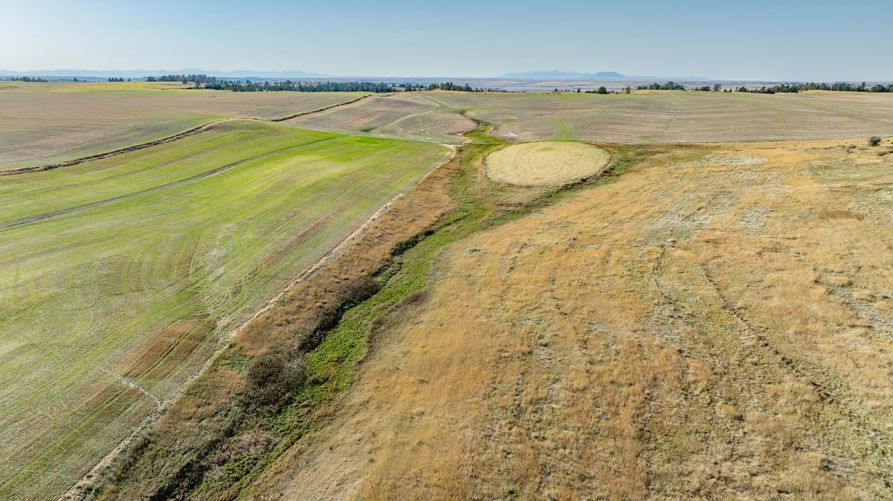 Salt Creek Ranch