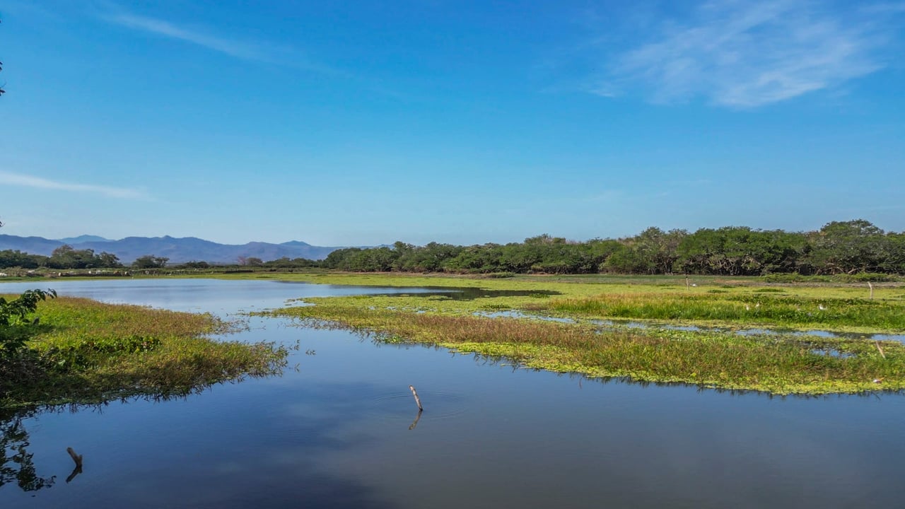 243 Hectares - Large Acreage - Costa Rica Investment Land. 