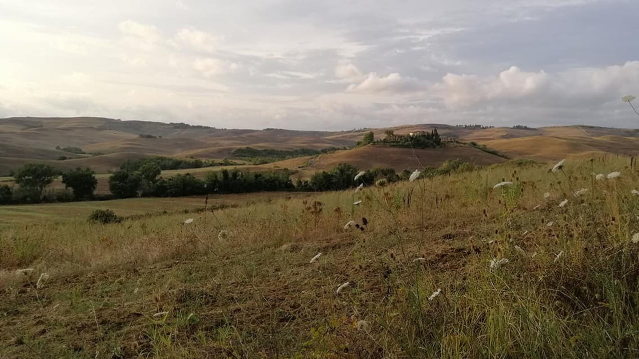 CASALE LA MAGIA BIANCA