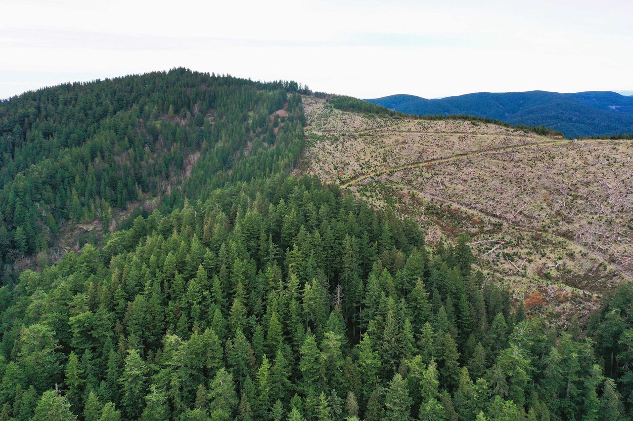 Cummins Creek Wilderness Overlook