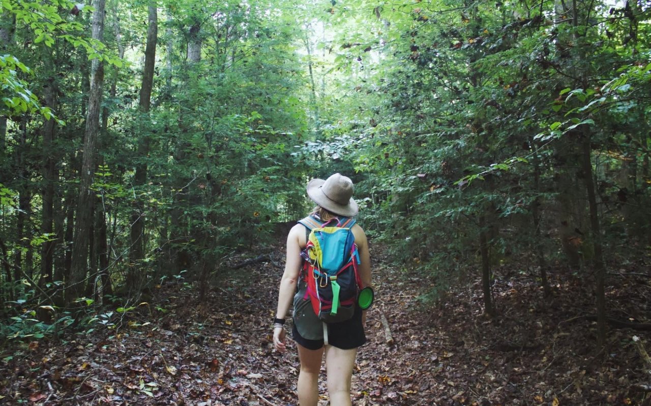 9 Family-Friendly Activities in Monte Sereno