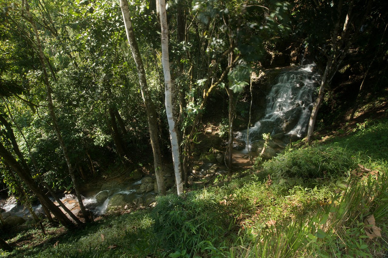 Waterfall View Development Lot, Dominical, Puntarenas