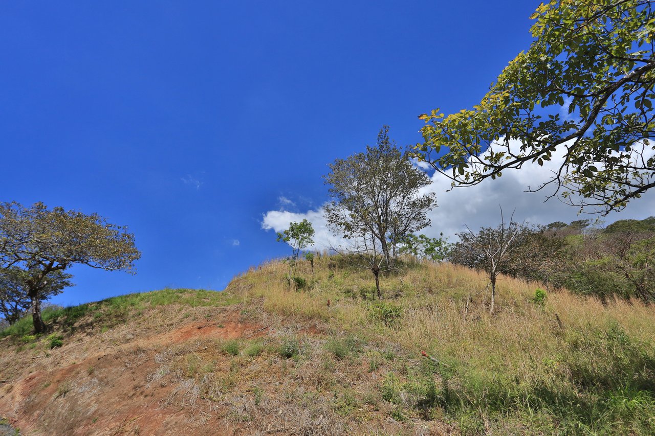 Panoramic Ocean View Lot, Atenas, Alajuela