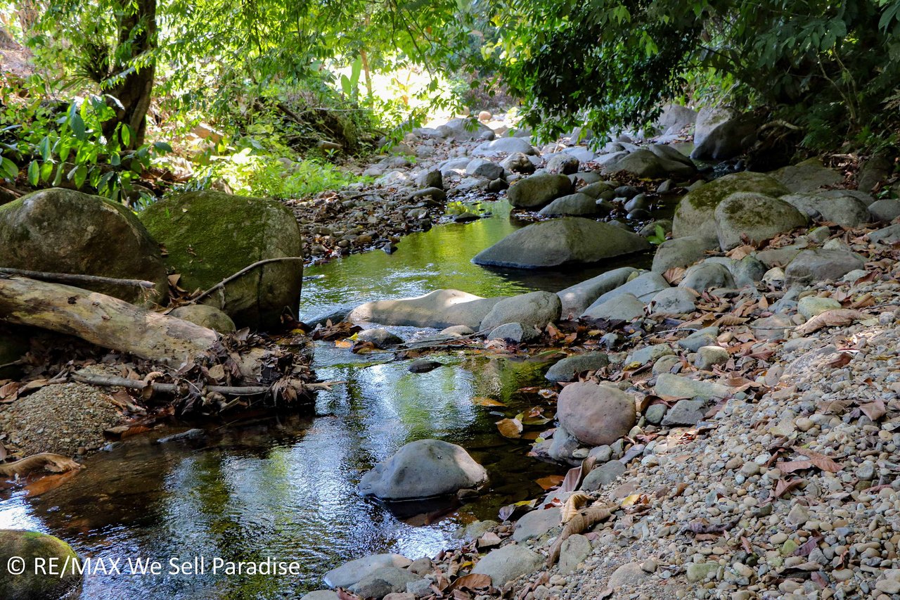 A large jungle-clad piece of land with mountain views, internal creek, and river frontage.