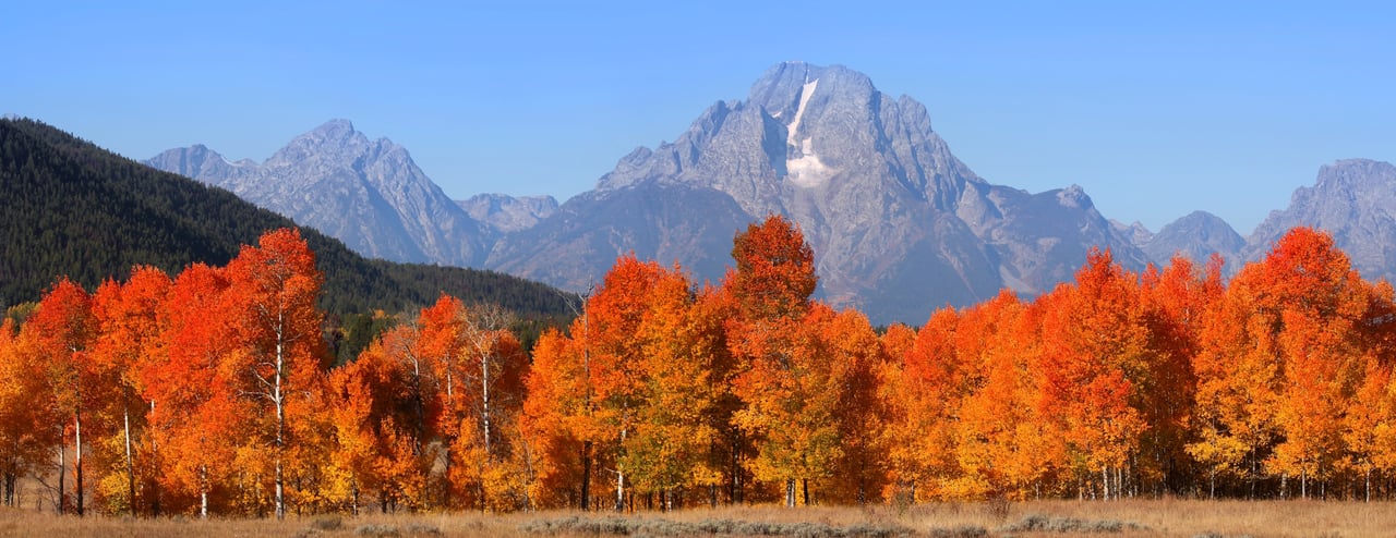 Q3 2025 Market Report | Jackson Hole & Teton Valley