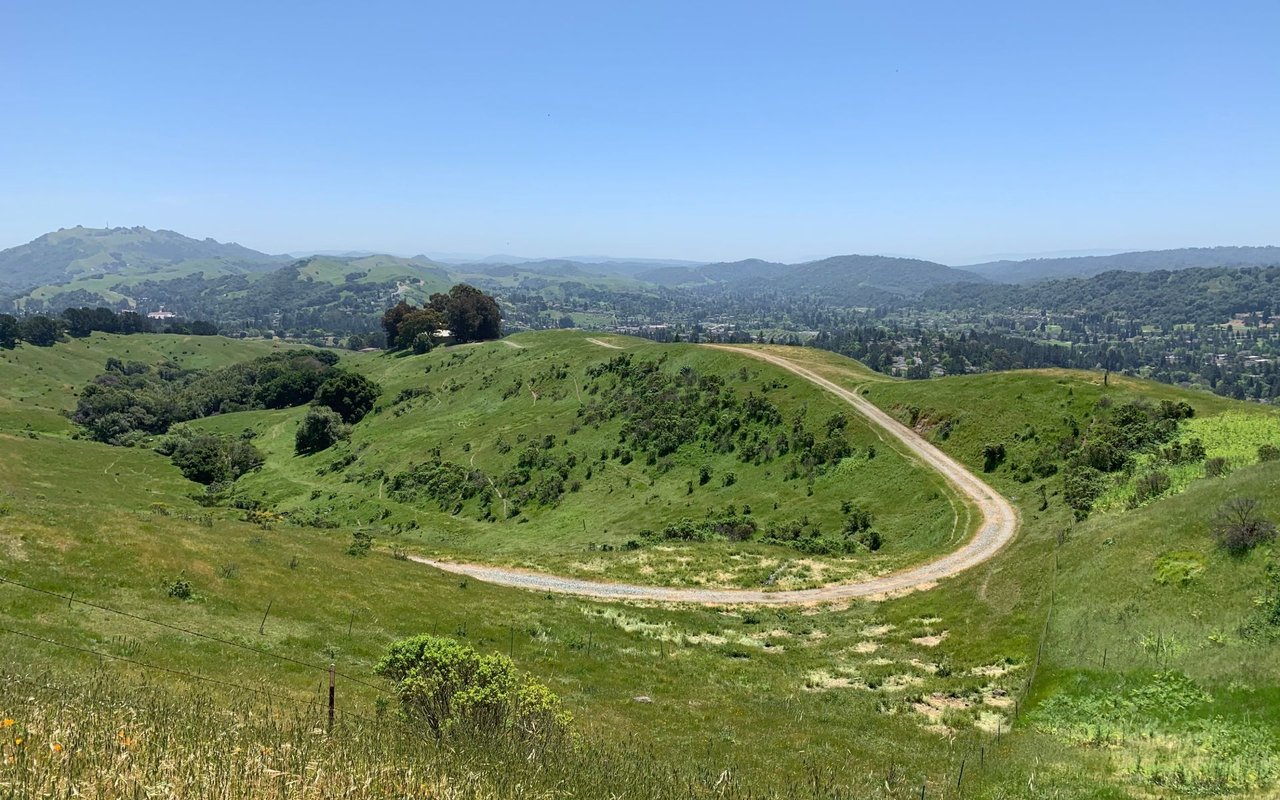 Moraga