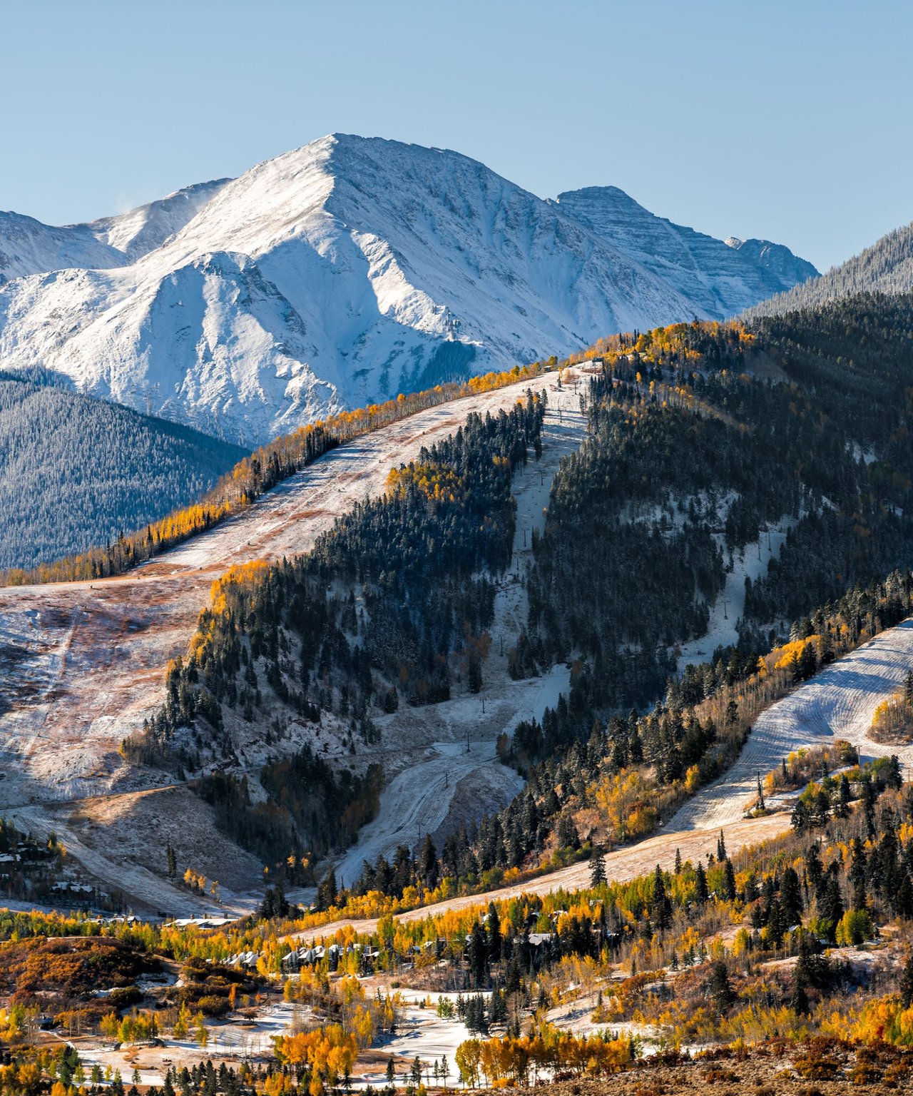 Current Developments