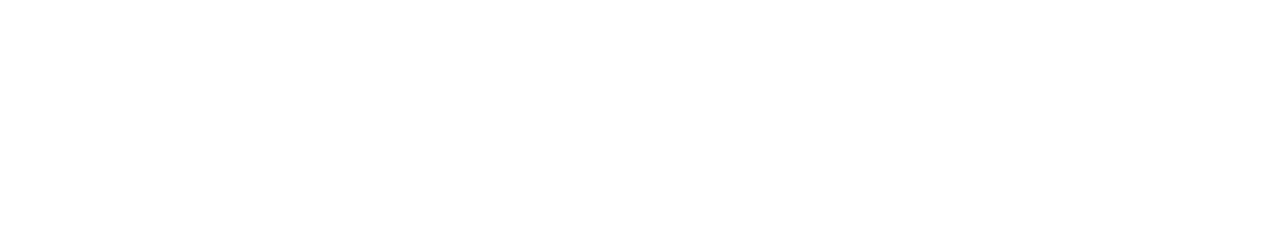 Light Logo