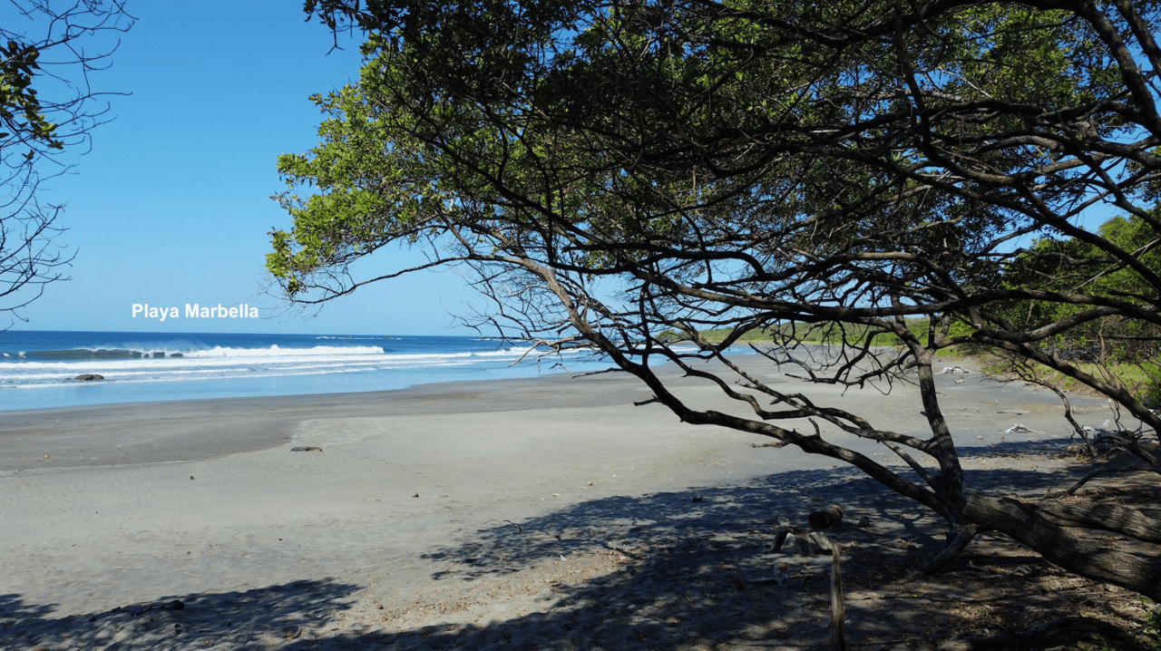 Eco Sanctuary In Playa Marbella - 250 Acre Riverfront