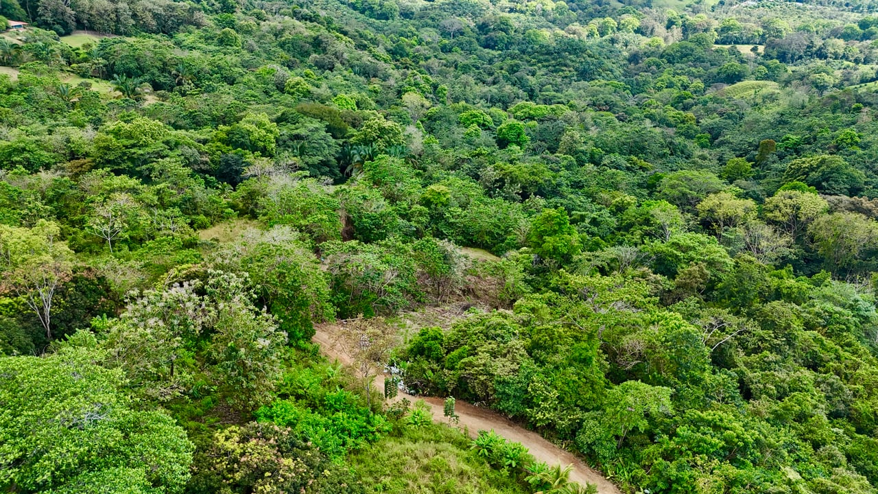 Ocean View Lot in San Buenas, Only $90K & Ready To Build