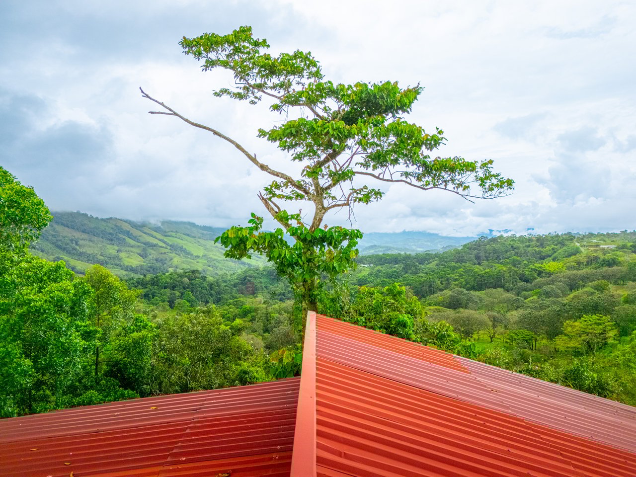 Development Opportunity,  2 Lots - San Vito