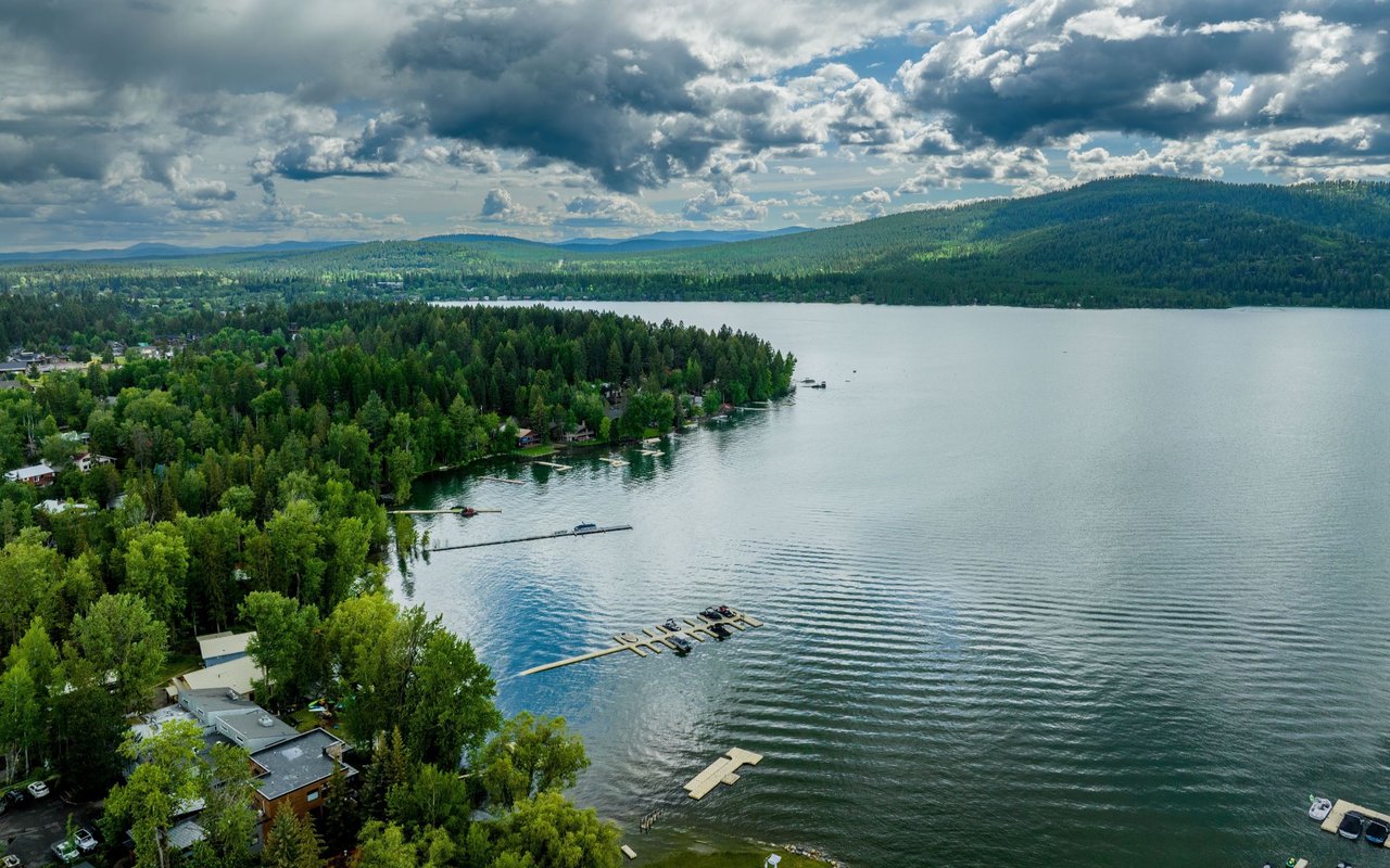 Whitefish