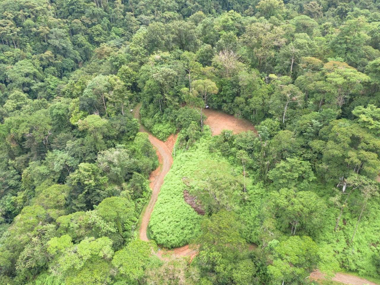 Beautiful 2 Acre Ocean View Lot inset into nature