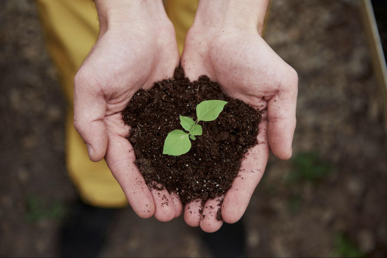 4 Cost-Effective Ways to Make Your House More Energy Efficient