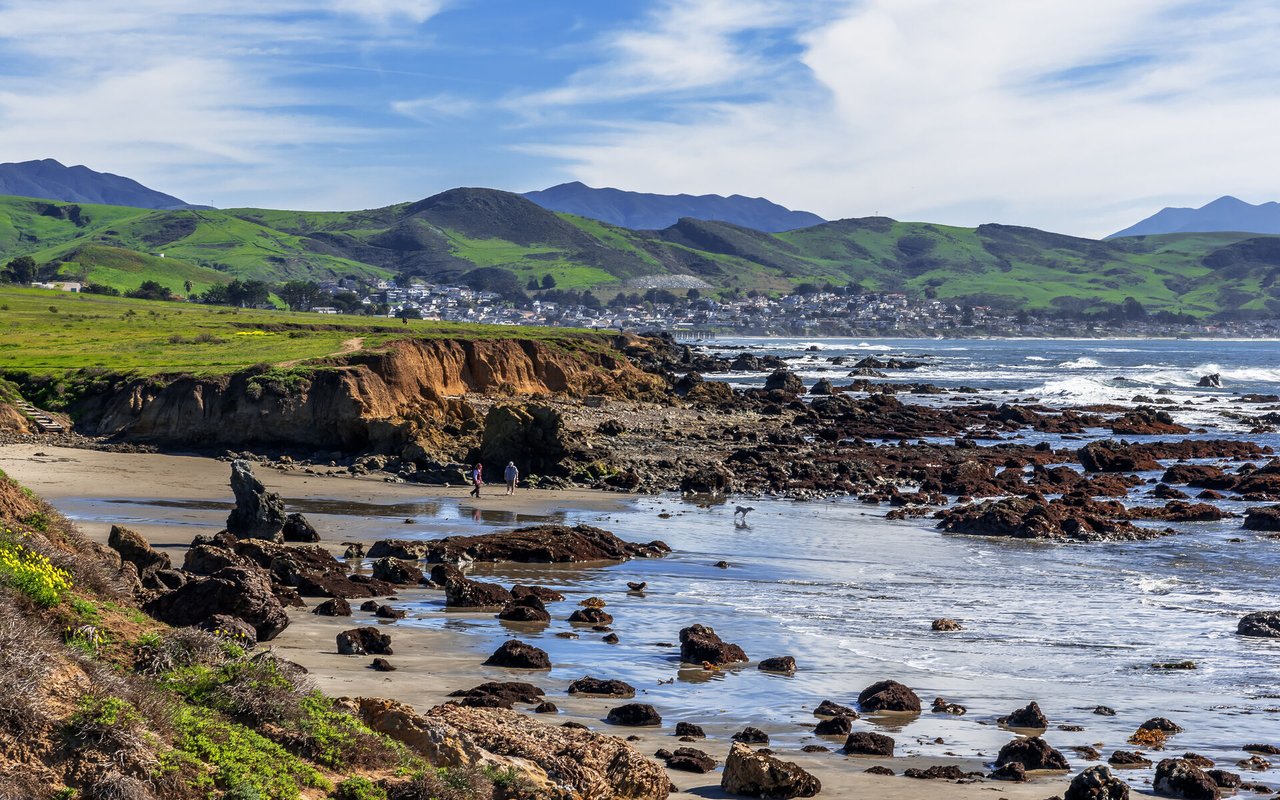 contact-form-background