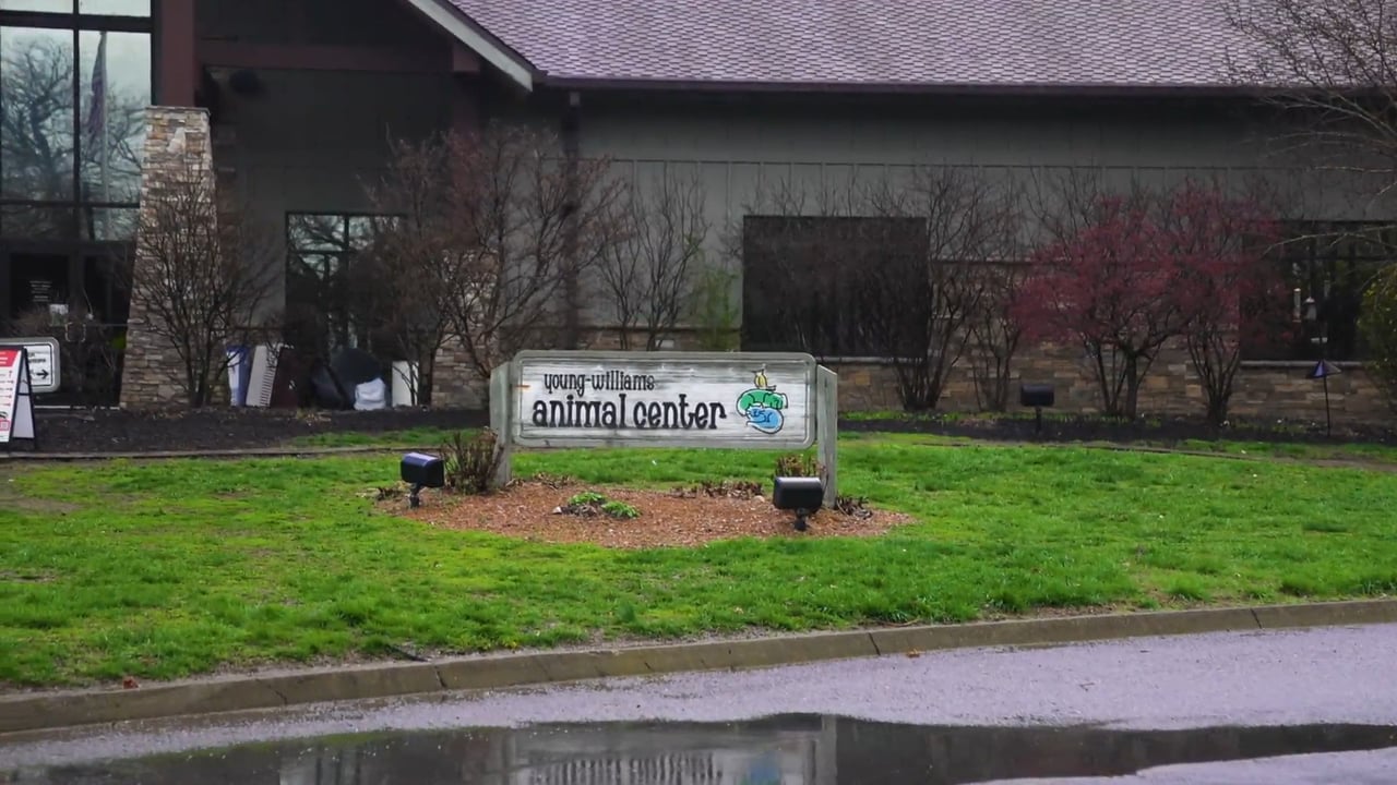 Young Williams Animal Center