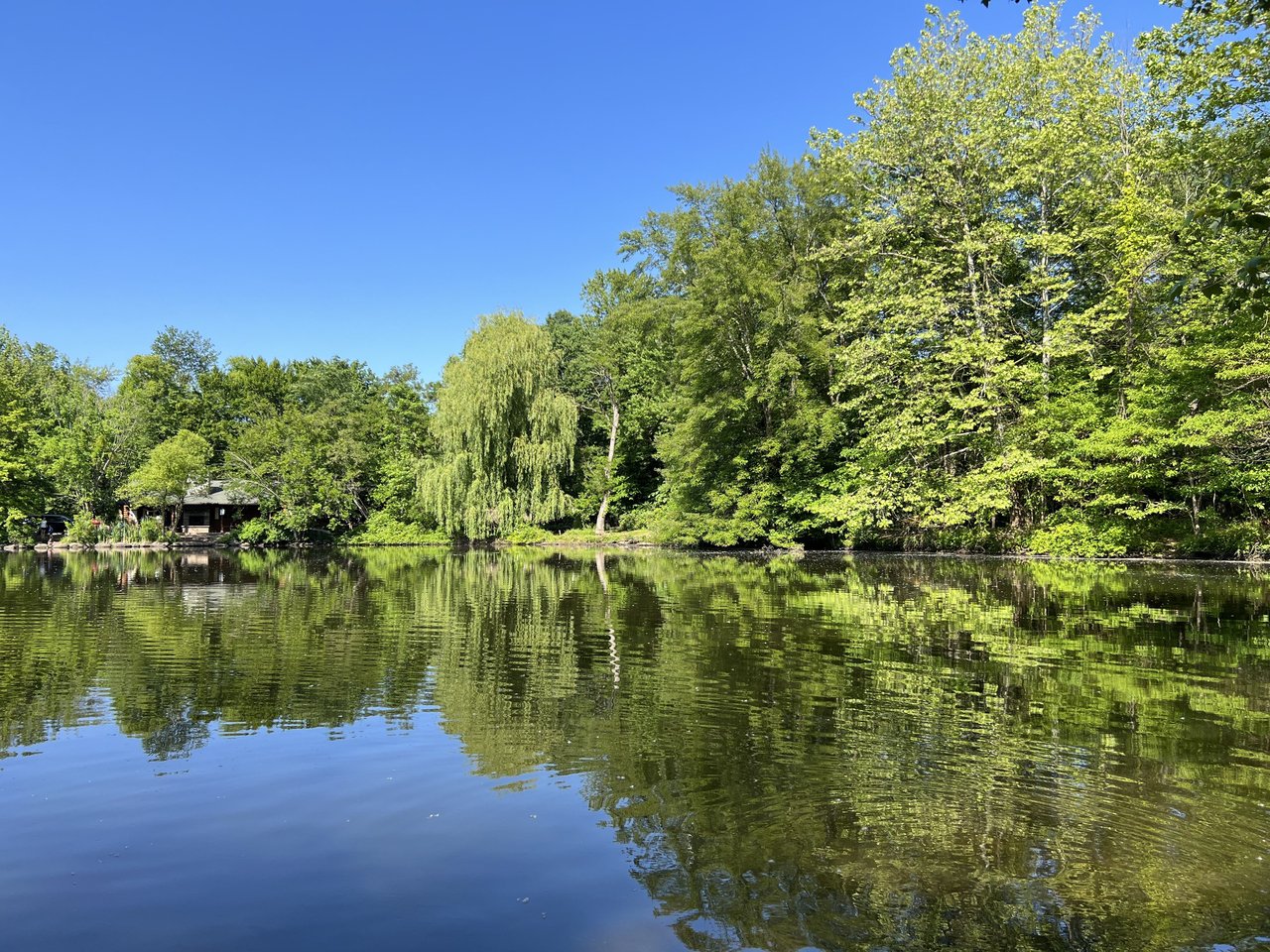 Closter Nature Center: A Hidden Gem for Living in Closter, NJ