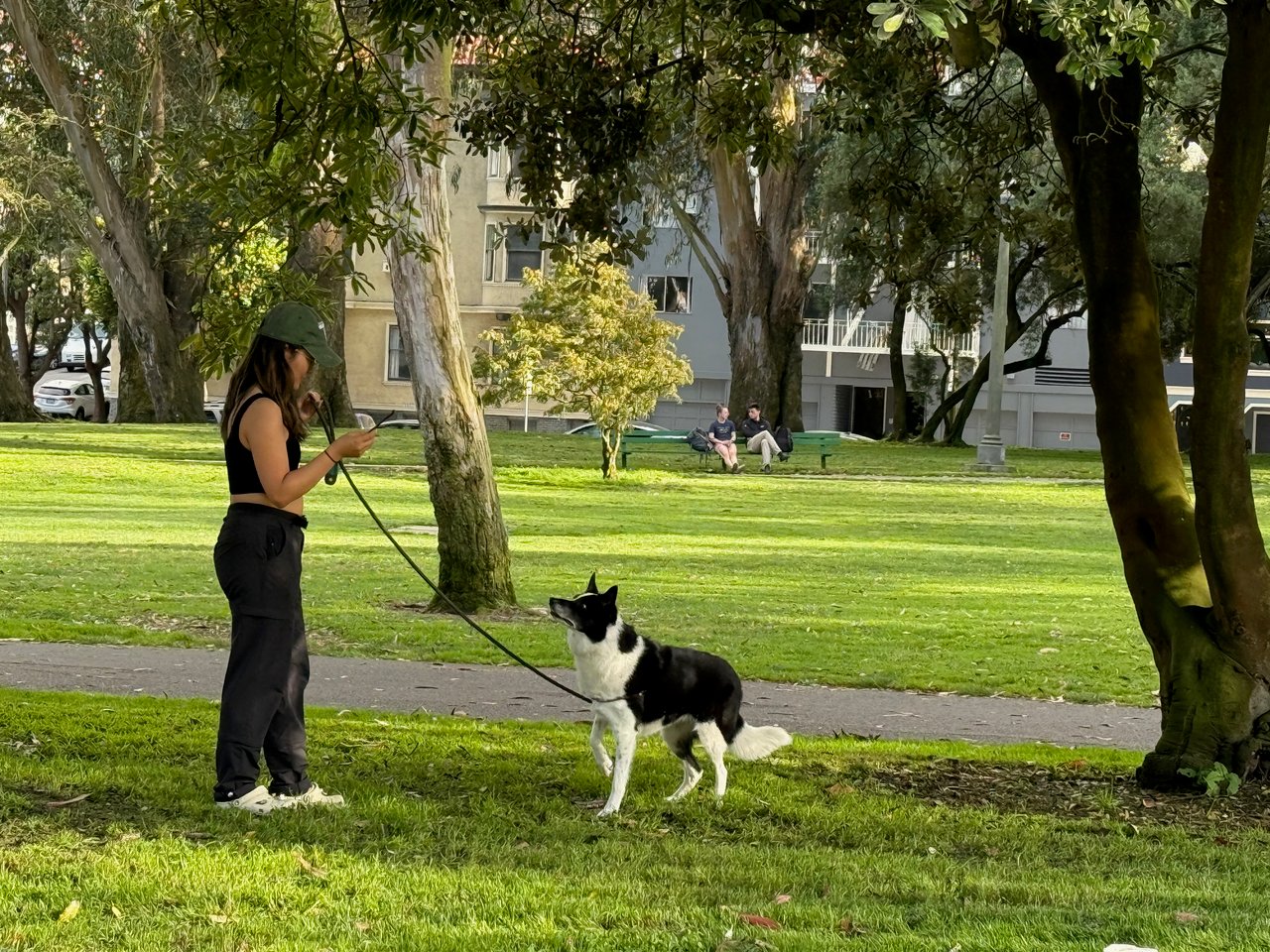 District 6 – Central North