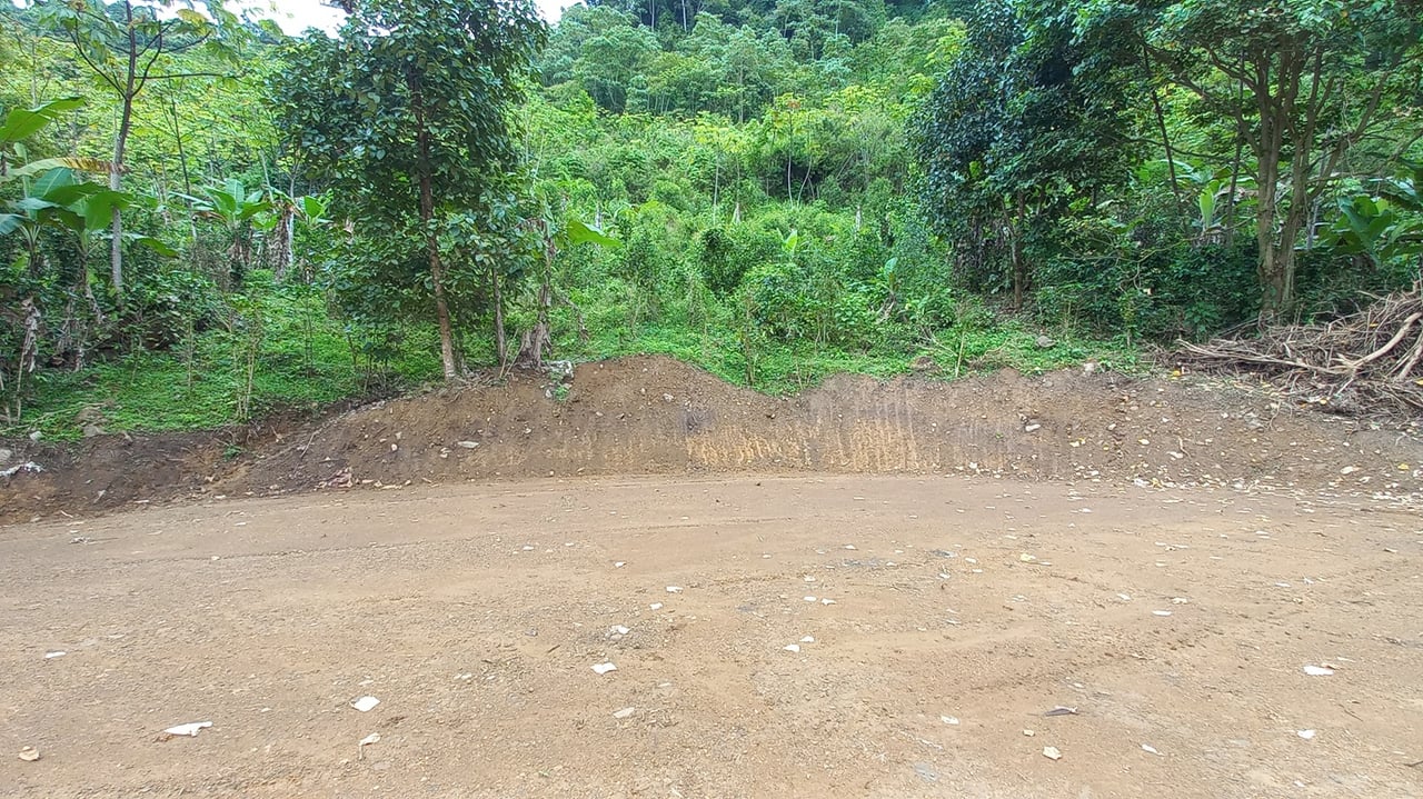 Mountain View Land with Several Building Sites and Mature Fruit Trees